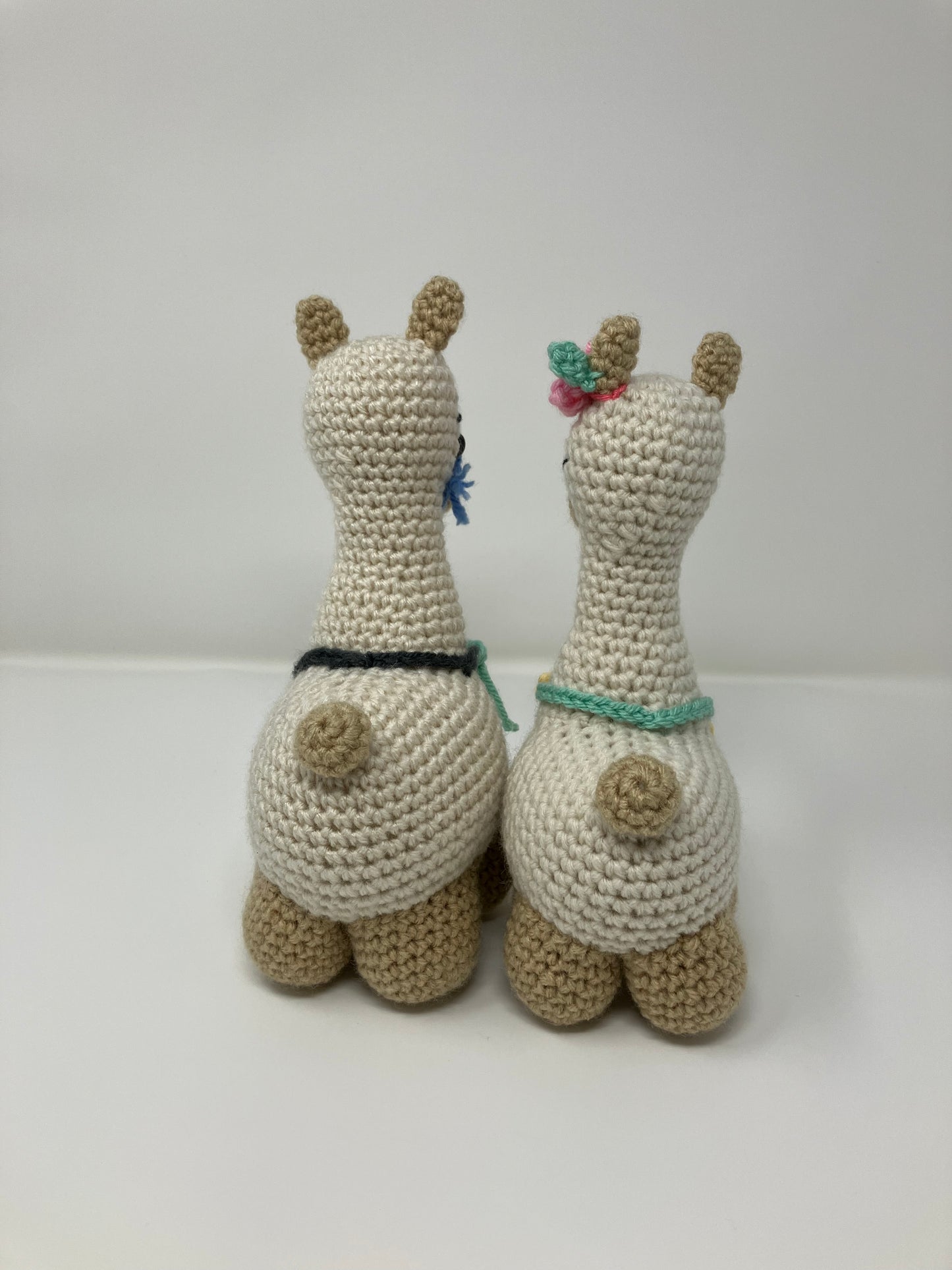 Lulu and Leo the Llamas