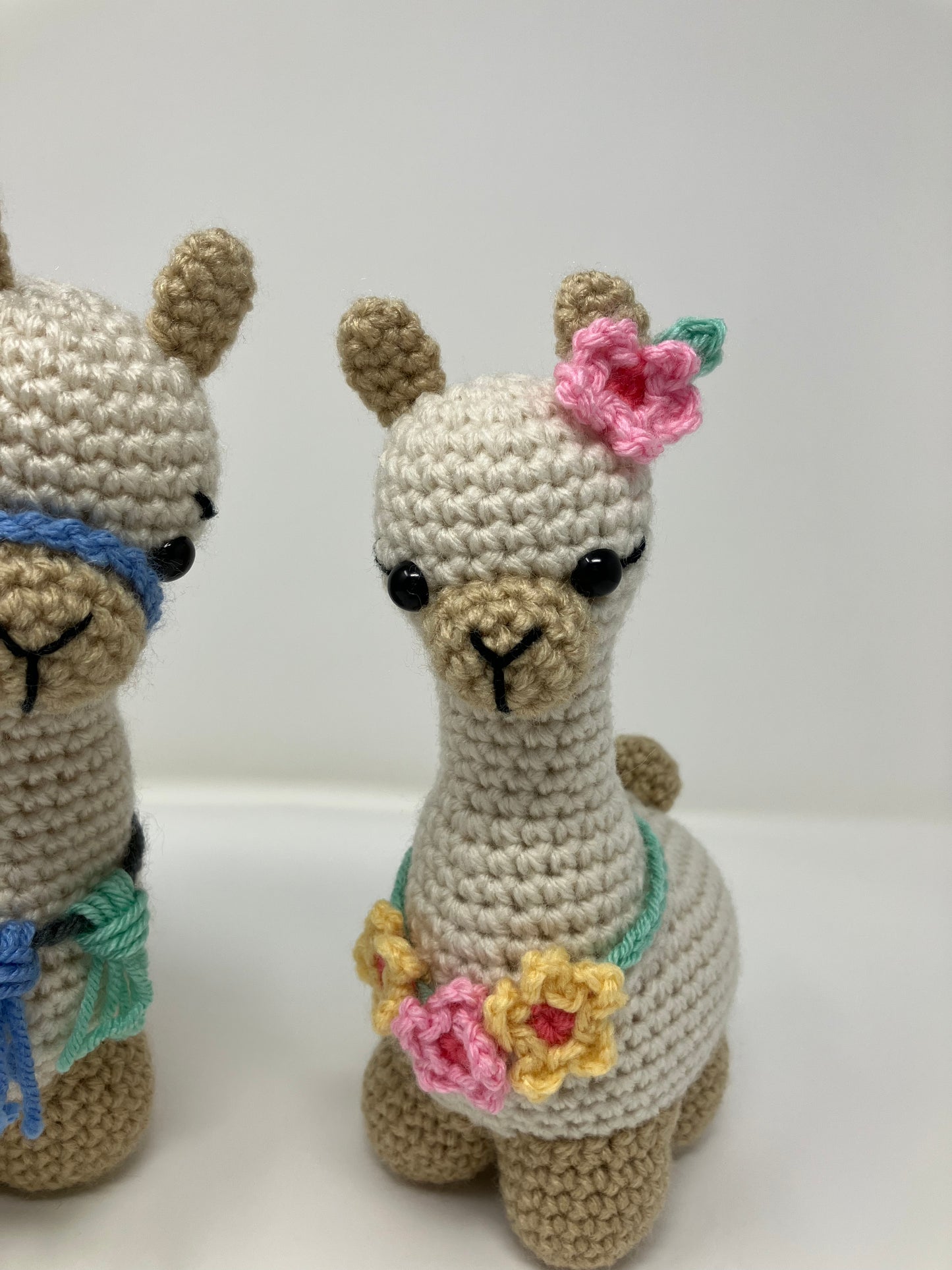 Lulu and Leo the Llamas