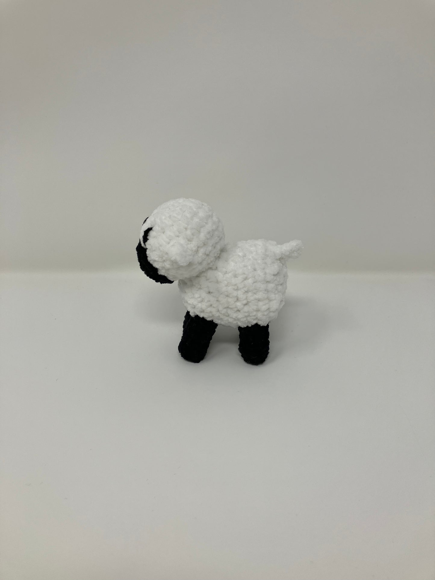 Shawn the Baby Sheep