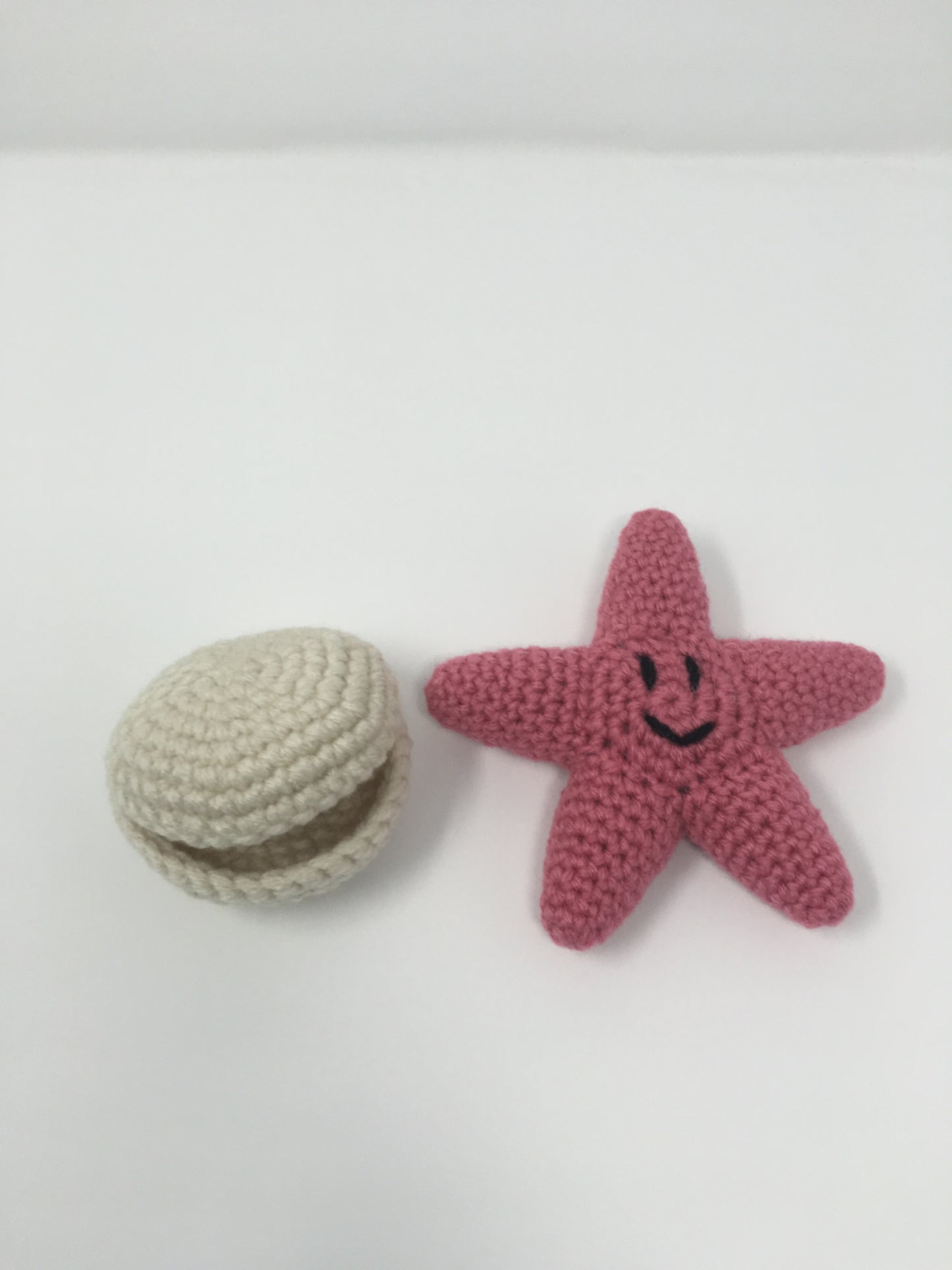 Clam and Starfish