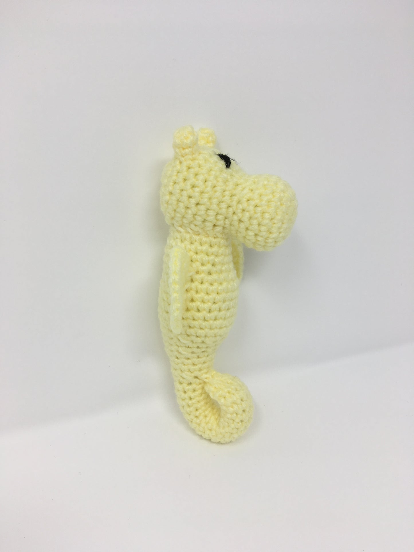 Sally the Seahorse