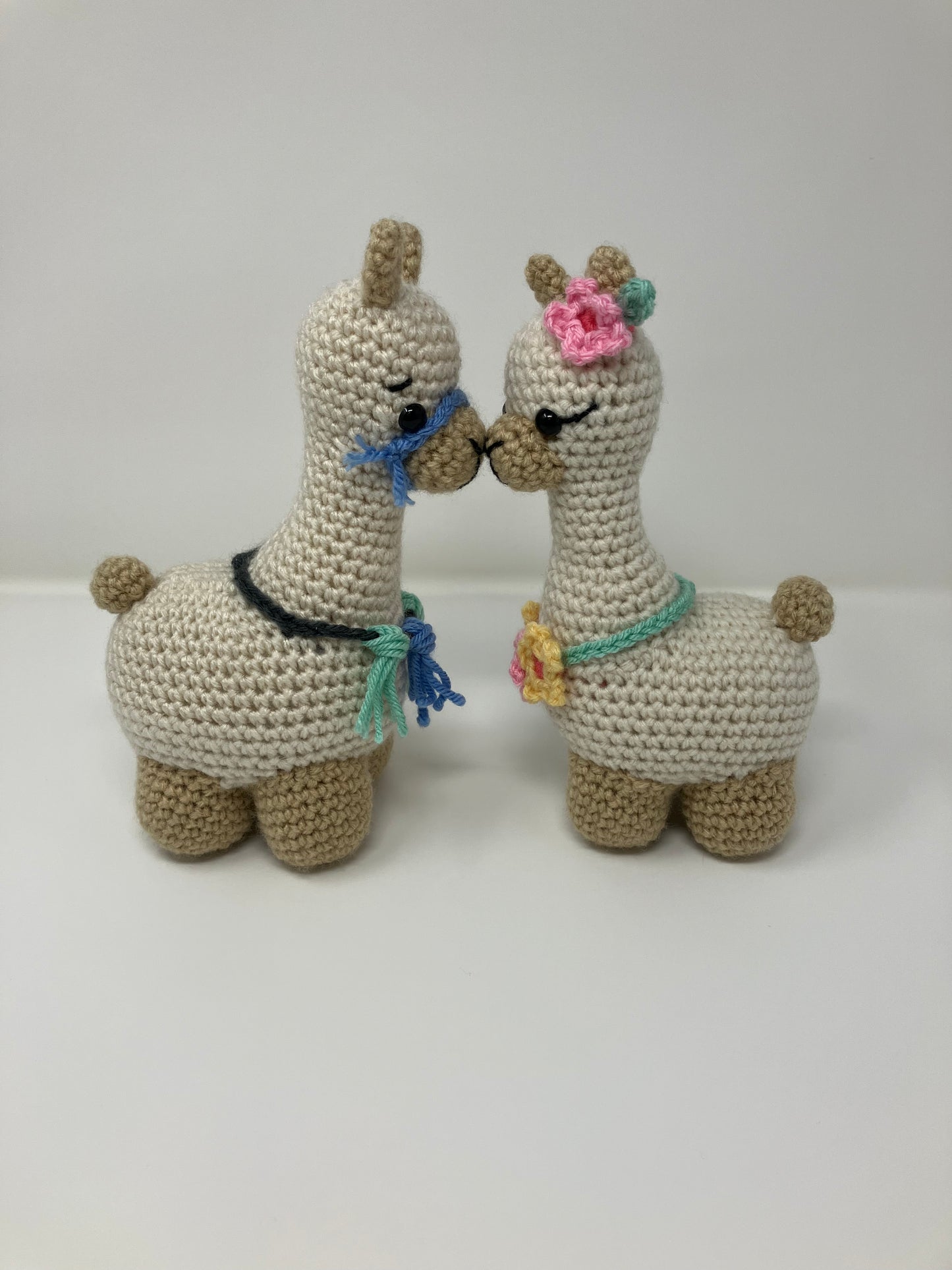 Lulu and Leo the Llamas