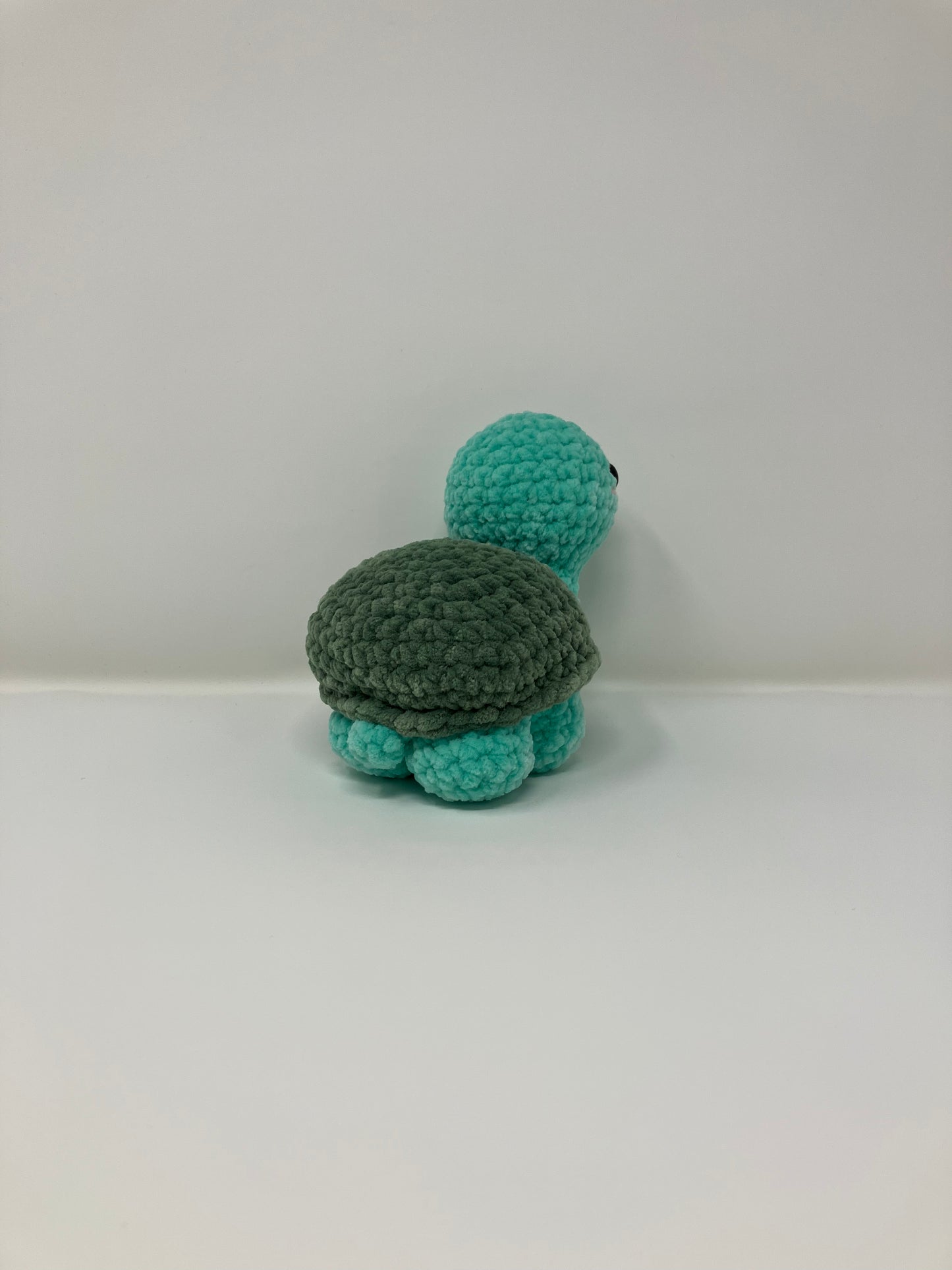 Timmy the Tiny Turtle