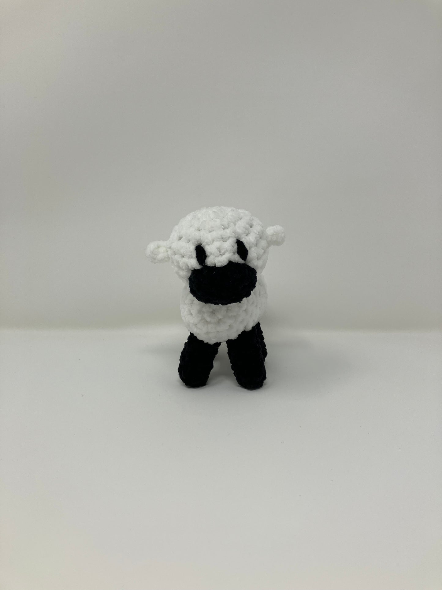 Shawn the Baby Sheep