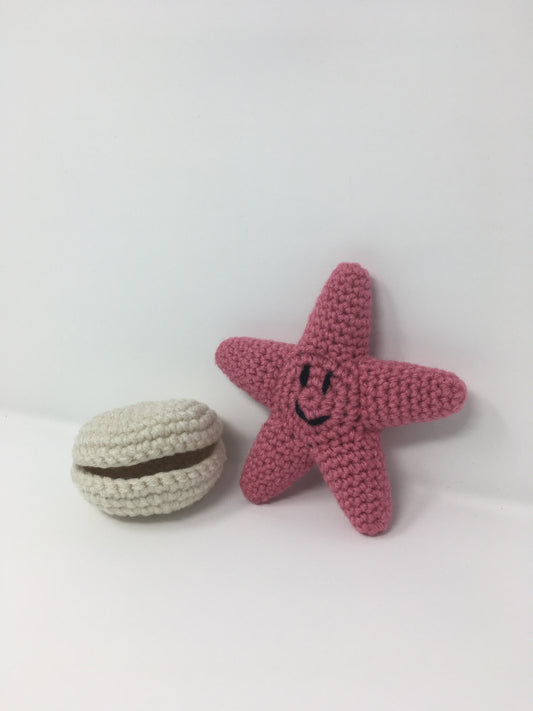 Clam and Starfish