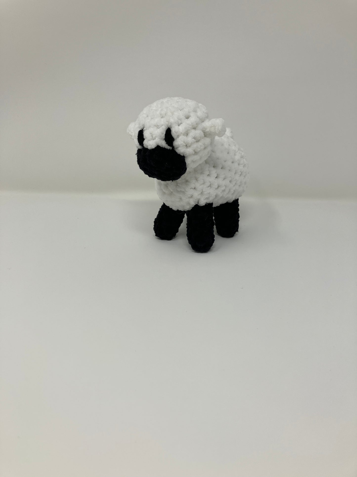 Shawn the Baby Sheep