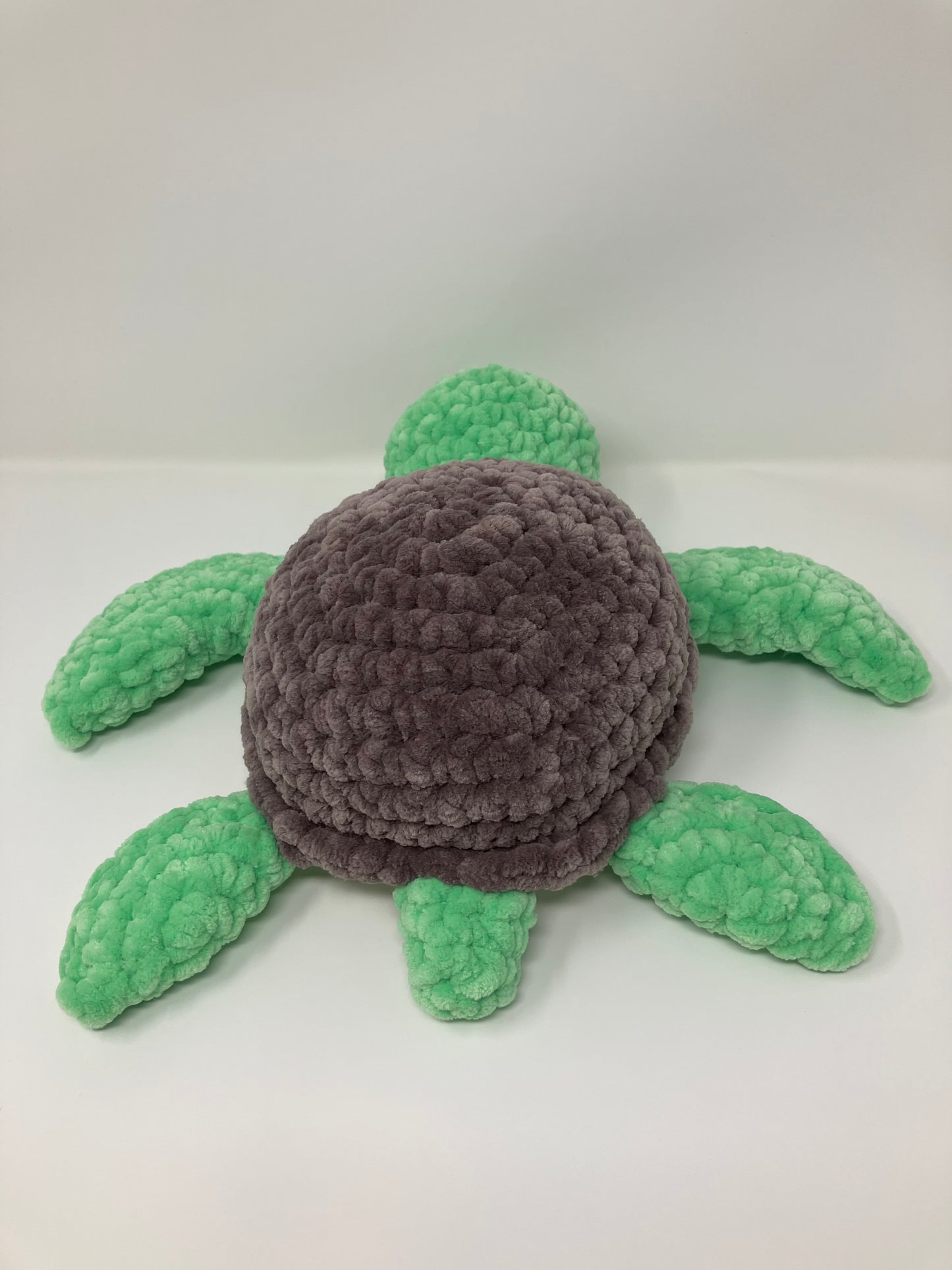 Squirt the Sea Turtle