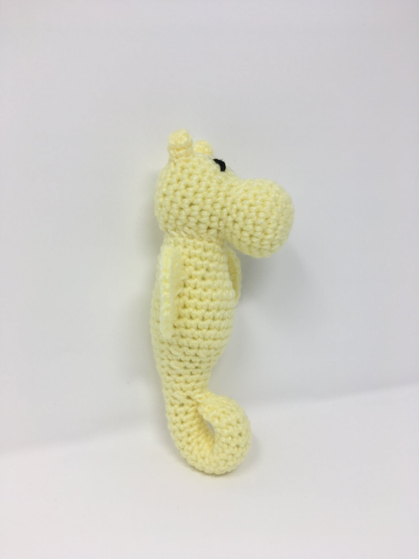 Sally the Seahorse