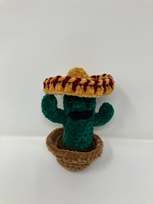 Pedro the Cactus