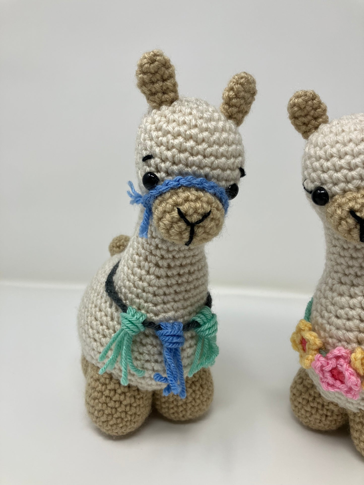 Lulu and Leo the Llamas