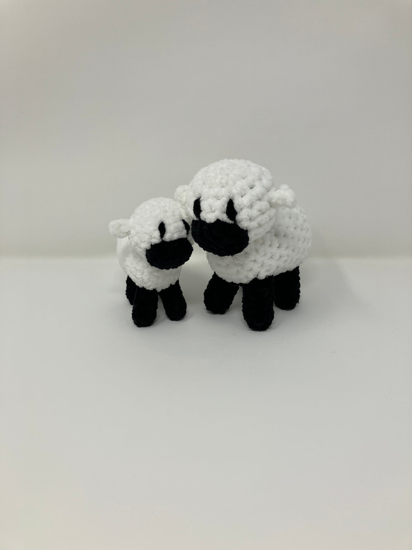 Shawn the Baby Sheep