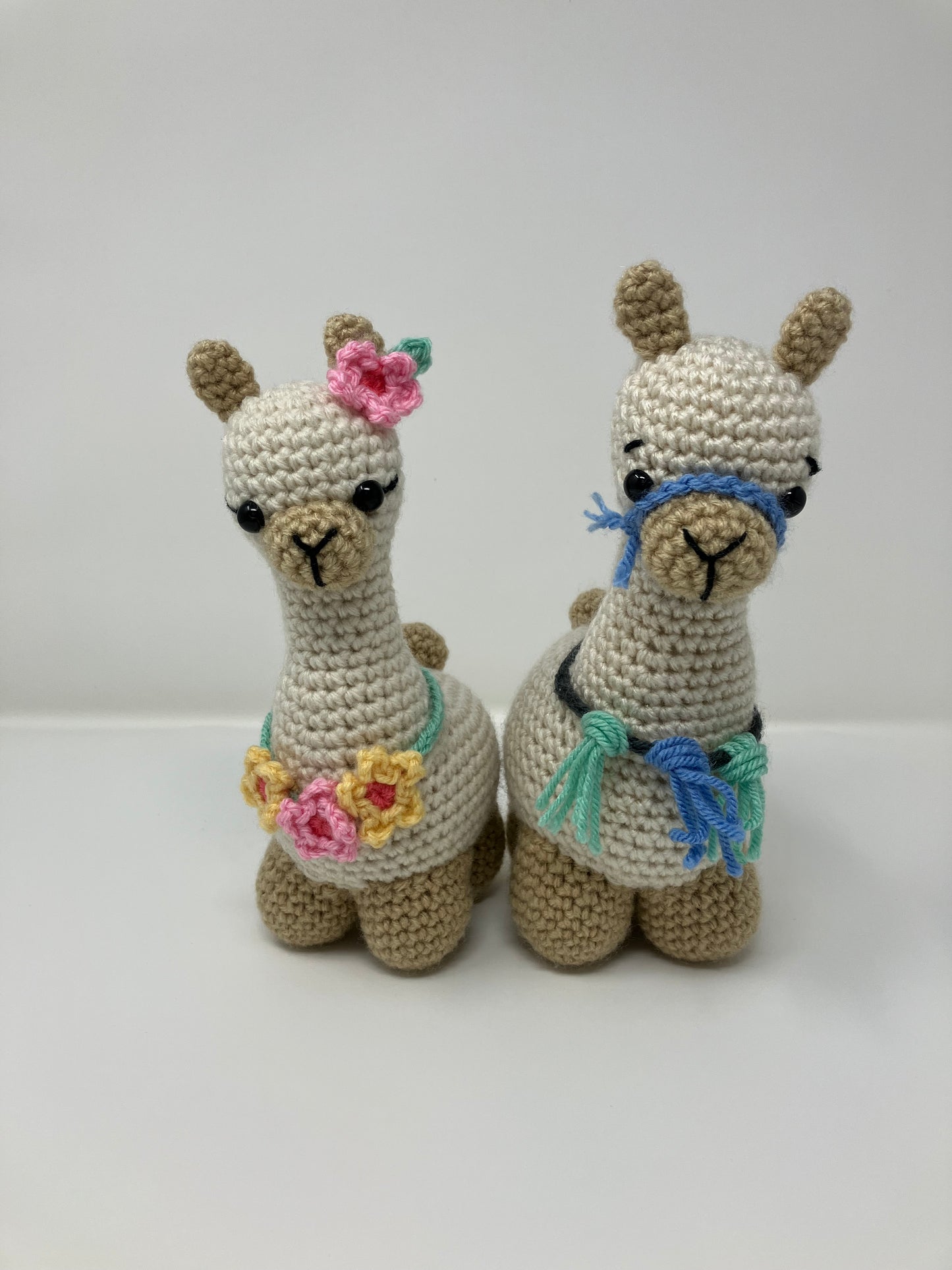 Lulu and Leo the Llamas