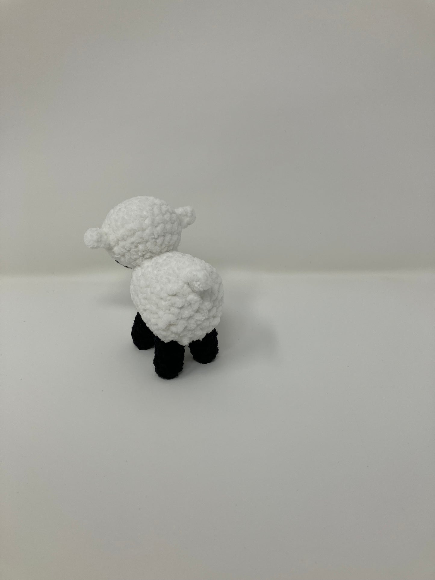 Shawn the Baby Sheep