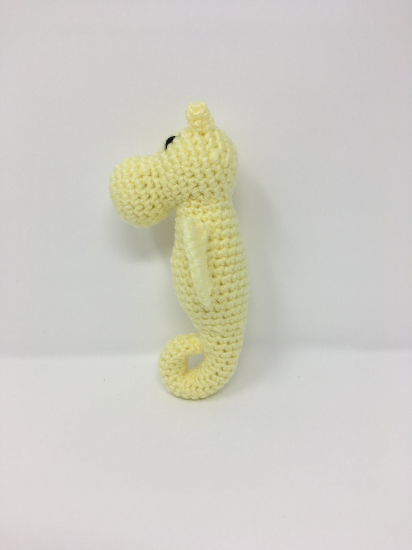 Sally the Seahorse