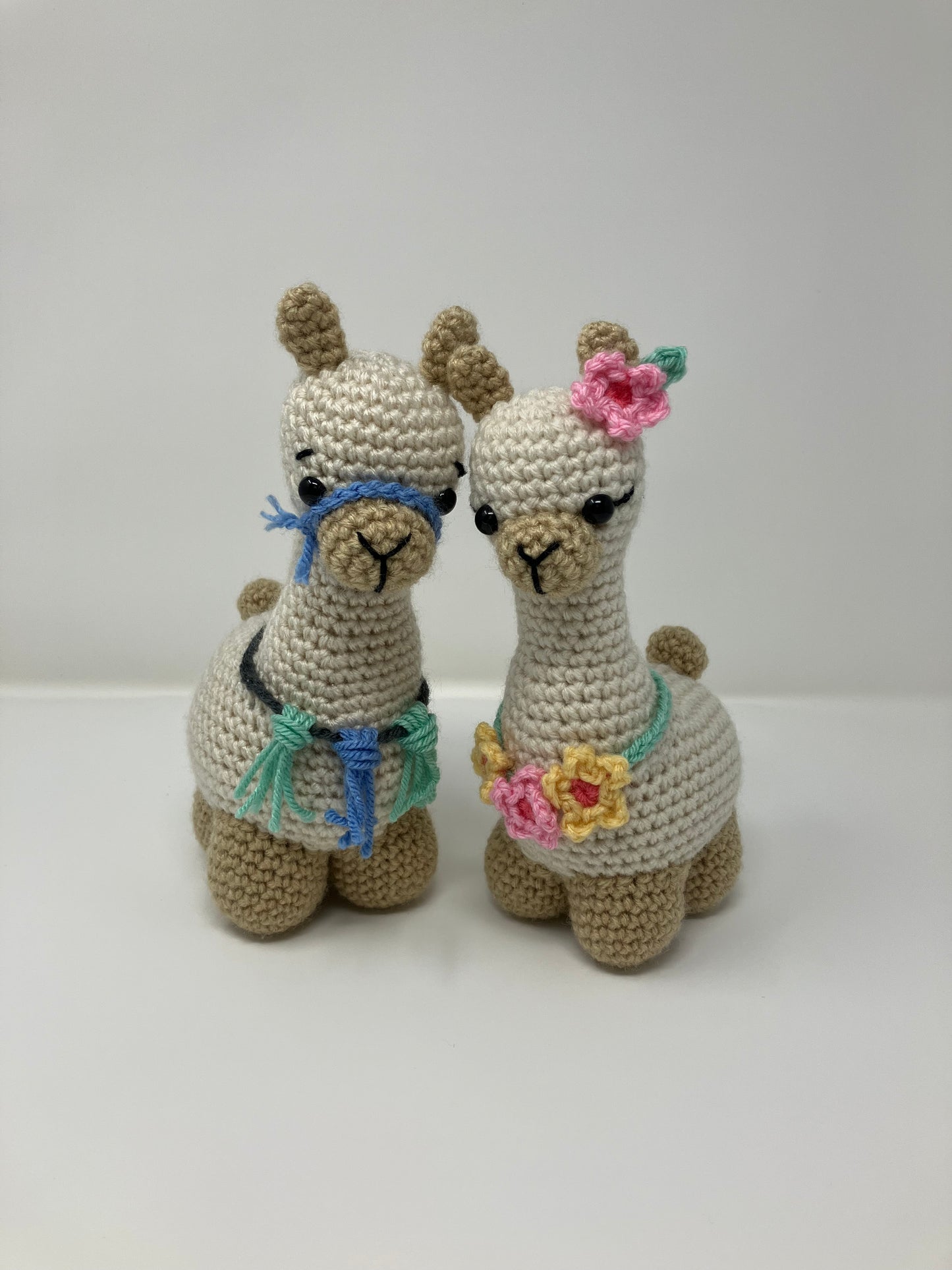 Lulu and Leo the Llamas