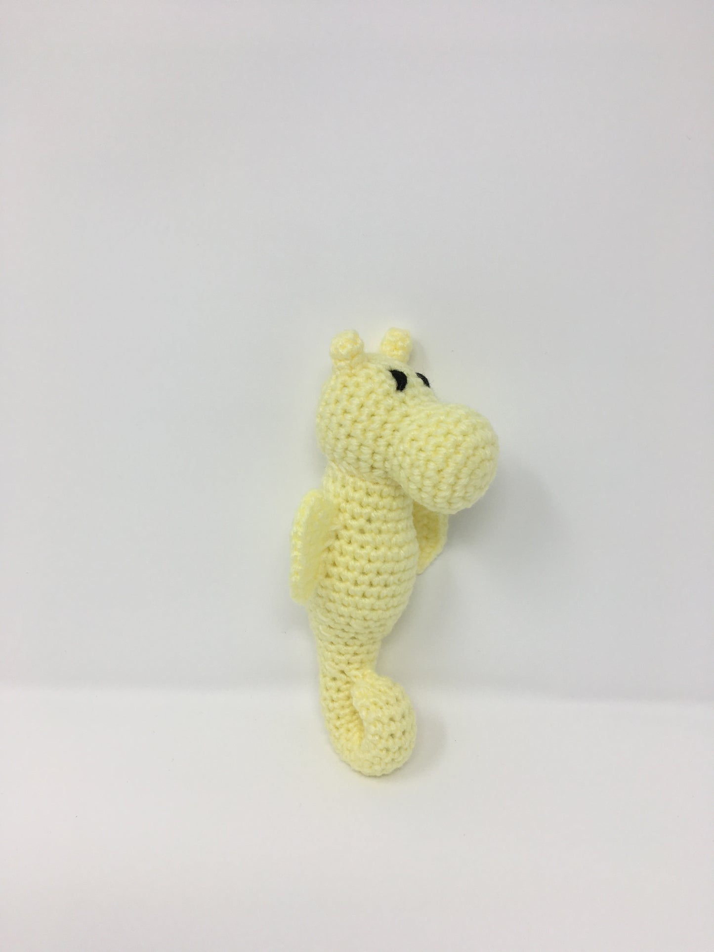 Sally the Seahorse